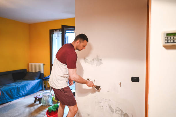 Best Post-Flood Mold Remediation in Safford, AZ